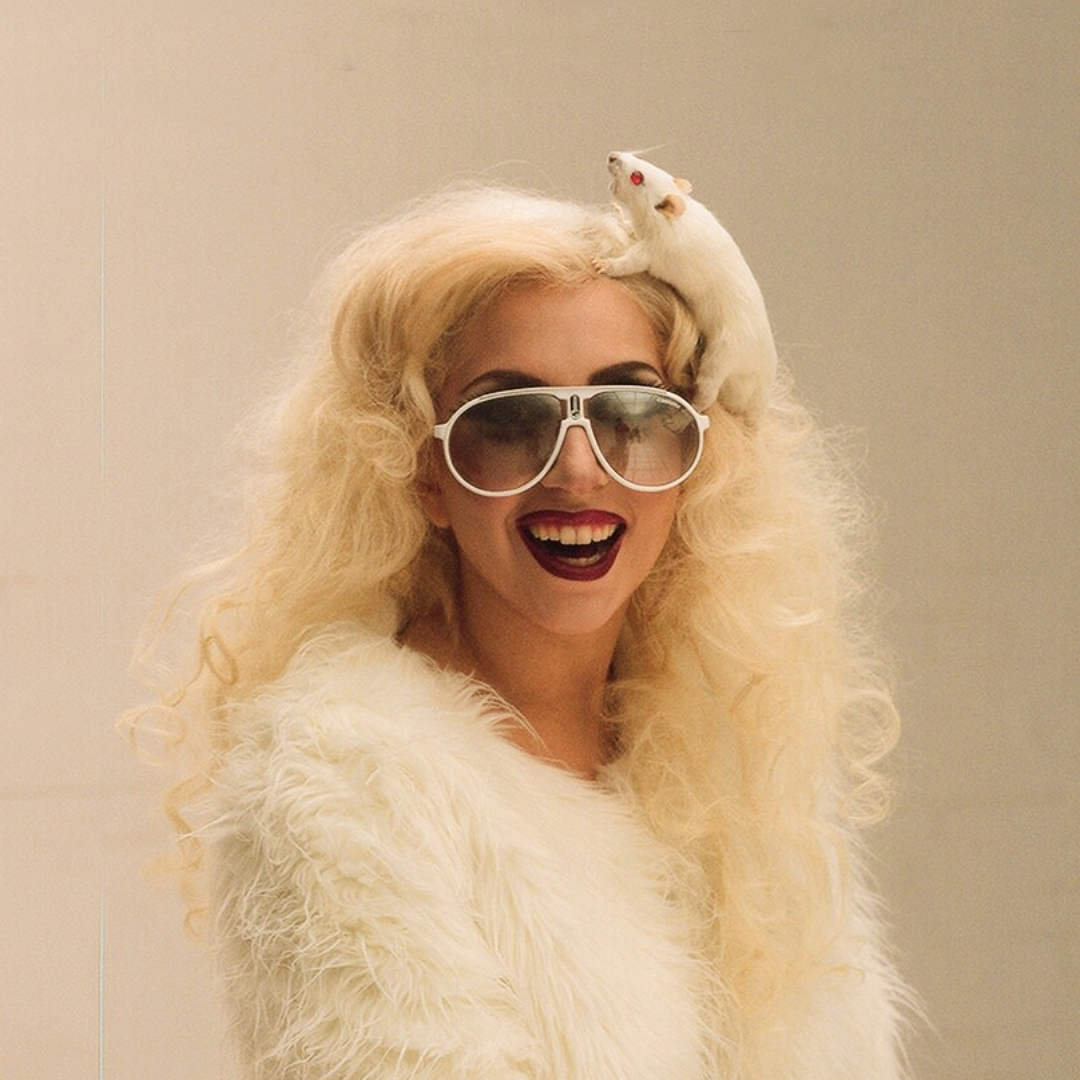 The Fame Monster